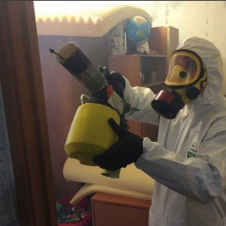 Уничтожение клопов в квартире. Чертаново